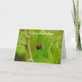 Ladybug Climbing to Success Abschluss Card Karte (Vorderseite)