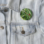 Ladybug (Coccinellidae) Button (Beispiel)