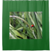 Ladybug (Coccinellidae) Duschvorhang (Vorderseite)