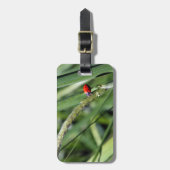 Ladybug (Coccinellidae) Gepäckanhänger (Vorderseite vertikal)