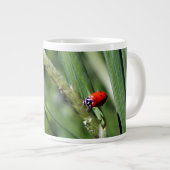 Ladybug (Coccinellidae) Jumbo-Tasse (Vorderseite Rechts)