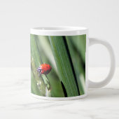 Ladybug (Coccinellidae) Jumbo-Tasse (Rechts)