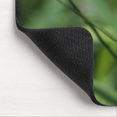 Ladybug (Coccinellidae) Mousepad (Ecke)