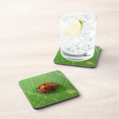 Ladybug Cork Untersetzer (Rechte Seite)