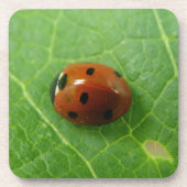 Ladybug Cork Untersetzer (Vorderseite)