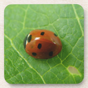 Ladybug Cork Untersetzer