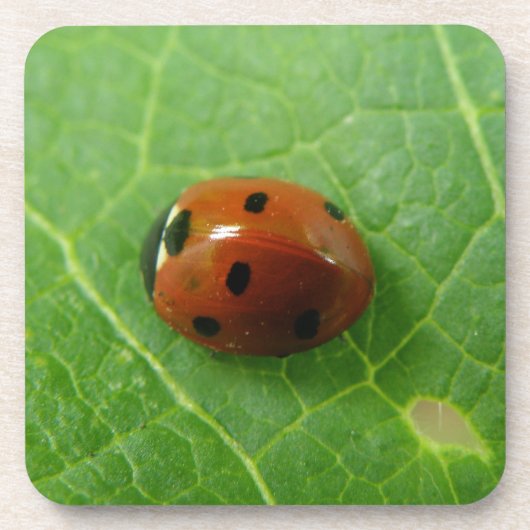 Ladybug Cork Untersetzer (Vorderseite)