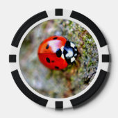 Ladybug Crawling auf Tree Trunk Pokerchips (Vorderseite)