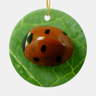 Ladybug Custom Geburtstag Keramik Ornament