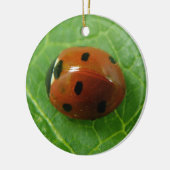 Ladybug Custom Geburtstag Keramik Ornament (Links)