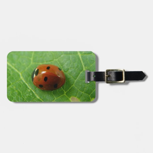 Ladybug Custom Luggage Tag Gepäckanhänger (Vorderseite horizontal)
