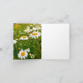 Ladybug & Daisies Dankeskarte (Innenseite)