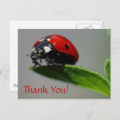 LadyBug Danke! Postkarte (Vorne/Hinten)