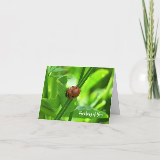 Ladybug - Denken Sie an Ihre Karte (Vorderseite)