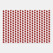 Ladybug Design Geschenkpapier Set (Vorderseite)