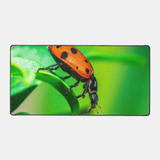 Ladybug Desk Mat | Nature Workspace Aesthetic Schreibtischunterlage