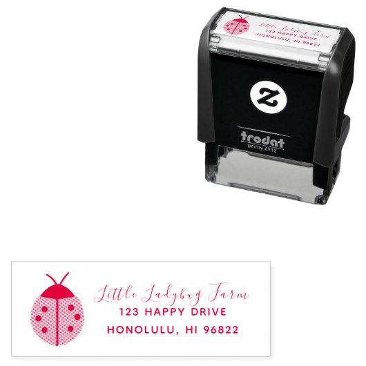 LADYBUG DIY Color Permastempel (Beispiel)