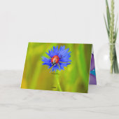 Ladybug dot beetle Office Custom Destiny Destiny's Karte (Rückseite)