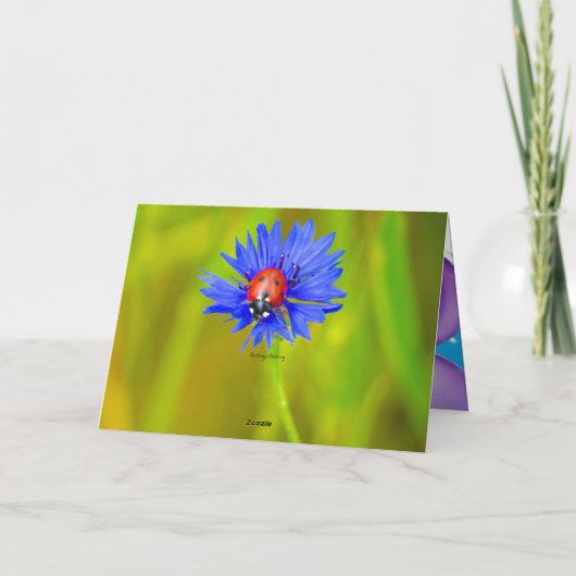 Ladybug dot beetle Office Custom Destiny Destiny's Karte (Rückseite)