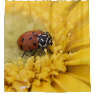 Ladybug-Duschvorhang Duschvorhang