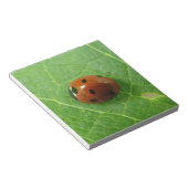 Ladybug Editor Notizblock (angewinkelt)
