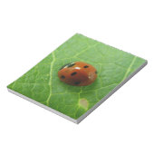 Ladybug Editor Notizblock (Rotiert)