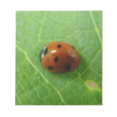 Ladybug Editor Notizblock (Vorderseite)