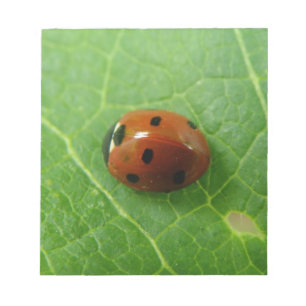 Ladybug Editor Notizblock
