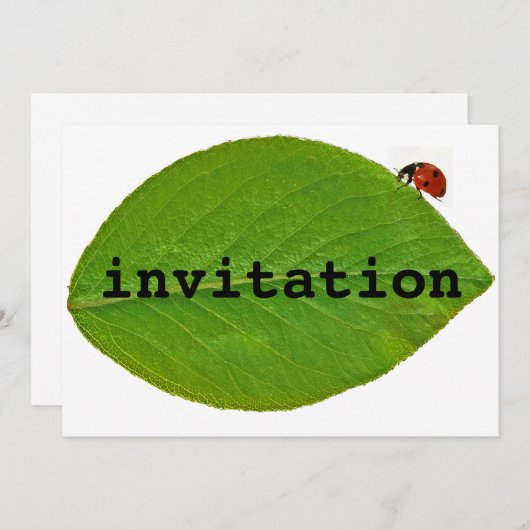 Ladybug Einladung (Vorne/Hinten)