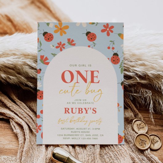 Ladybug Einladung zum ersten Geburtstag | Ladybugs