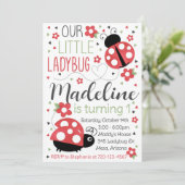 Ladybug Einladung zum Geburtstag, Ladybug Einladun (Stehend Vorderseite)
