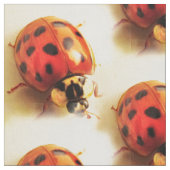 Ladybug Fabric Stoff (Nahaufnahme)