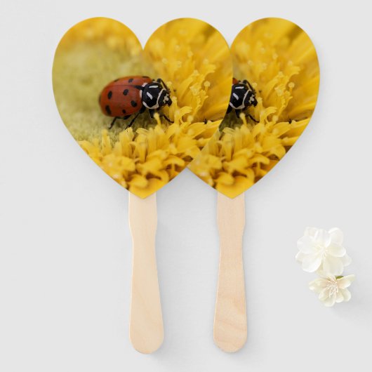 Ladybug Fächer (Vorne und Hinten)