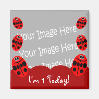 Ladybug First Birthday Foto Magnet Gastgeschenke