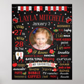 Ladybug First Birthday-Kalkboard-Zeichen Poster (Vorne)