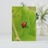 Ladybug Flat Birthday Card Einladung (Stehend Vorderseite)