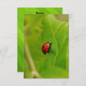 Ladybug Flat Birthday Card Einladung (Vorne/Hinten)