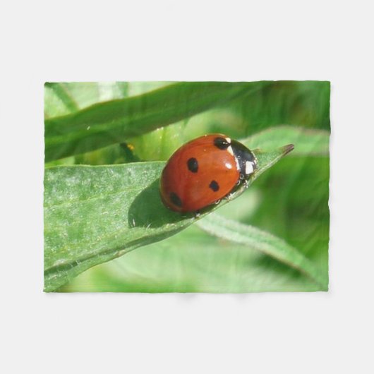 Ladybug Fleecedecke (Vorderseite (Horizontal))