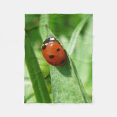 Ladybug Fleecedecke (Vorderseite)
