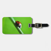 Ladybug Foto Gepäckanhänger (Vorderseite horizontal)