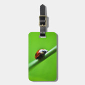 Ladybug Foto Gepäckanhänger (Vorderseite vertikal)