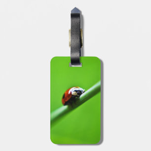 Ladybug Foto Gepäckanhänger