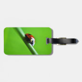 Ladybug Foto Gepäckanhänger (Rückseite horizontal)