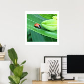 Ladybug Foto Poster (Heimbüro)