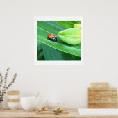 Ladybug Foto Poster (Küche)