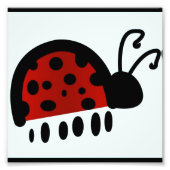 Ladybug Fotodruck (Vorne)