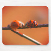 Ladybug Friends Nature Mousepad (Vorne)