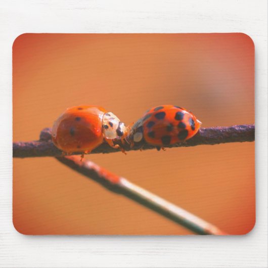 Ladybug Friends Nature Mousepad (Vorne)