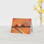 Ladybug Friends Nature Note Card Karte (Gelbe Blume)