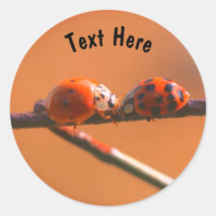Ladybug Friends Nature Personalisiert Runder Aufkleber